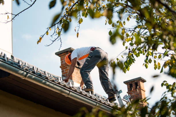 Best Metal Roofing Contractor  in Hillsboro, MO