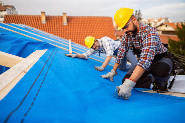 Best Local Roofing Companies  in Hillsboro, MO