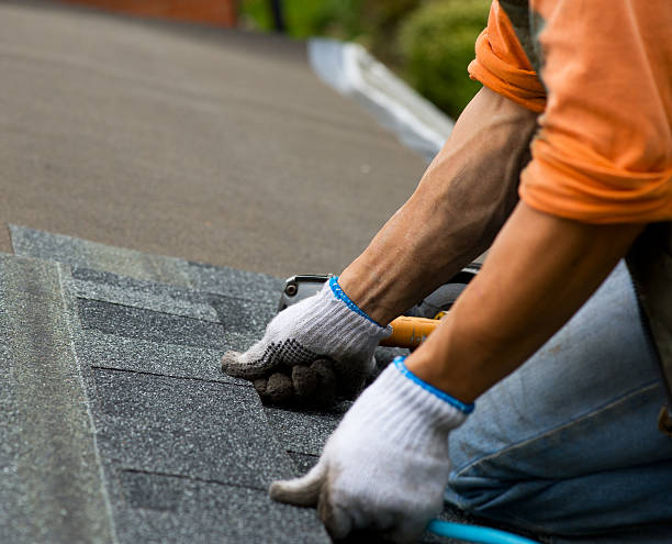Best Roof Gutter Cleaning  in Hillsboro, MO