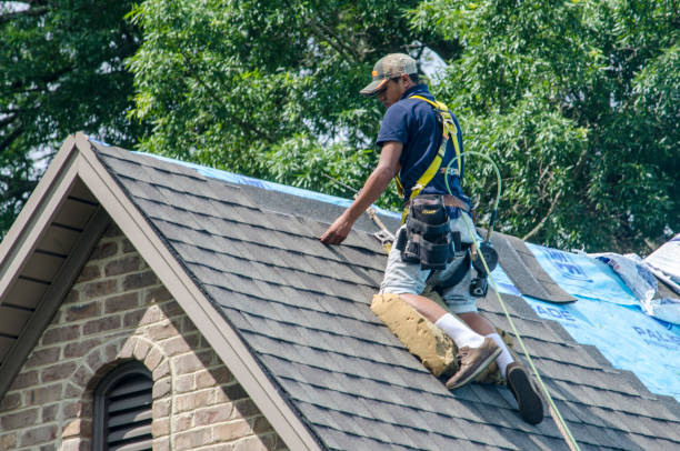 Quick and Trustworthy Emergency Roof Repair Services in Hillsboro, MO